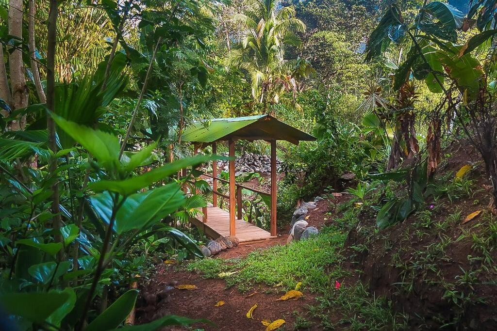 Casa Aire Libre Villa Puerto Jiménez Eksteriør billede