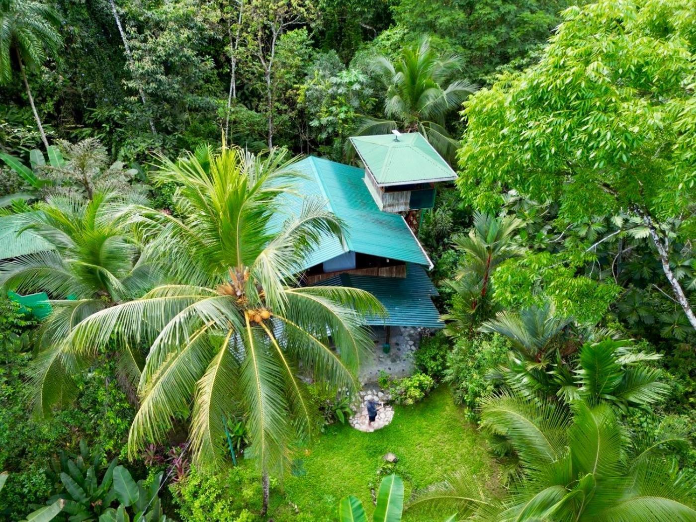 Casa Aire Libre Villa Puerto Jiménez Eksteriør billede